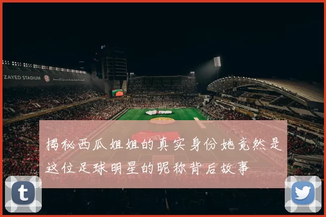 揭秘西瓜姐姐的真实身份她竟然是这位足球明星的昵称背后故事