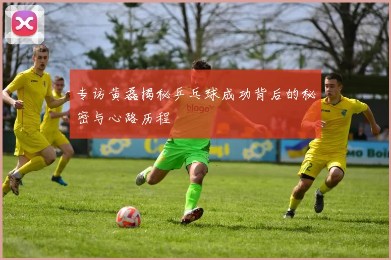 专访黄磊揭秘乒乓球成功背后的秘密与心路历程