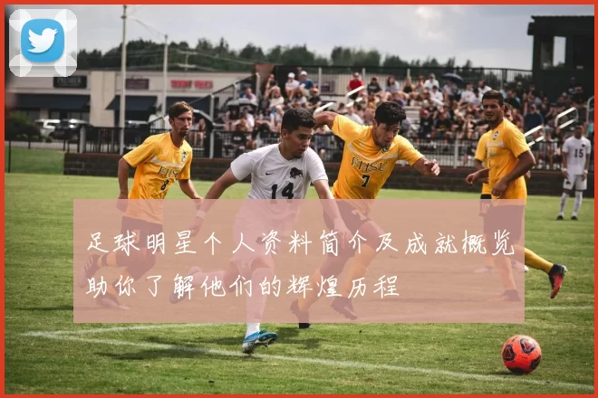 足球明星个人资料简介及成就概览助你了解他们的辉煌历程