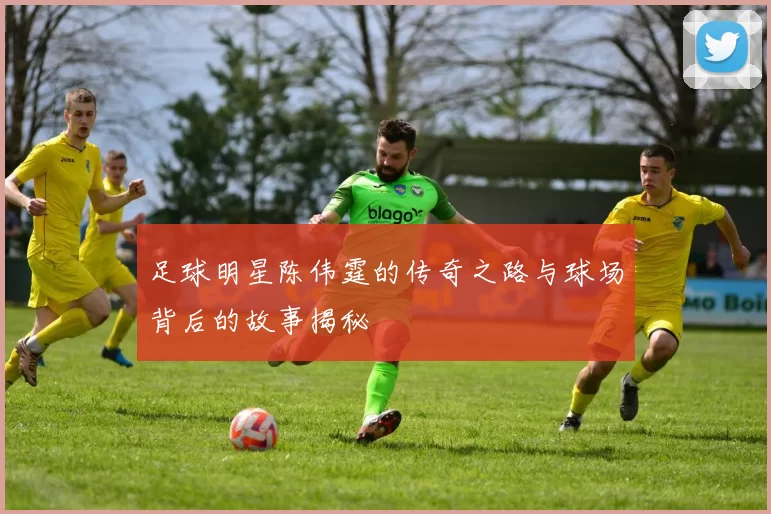 足球明星陈伟霆的传奇之路与球场背后的故事揭秘