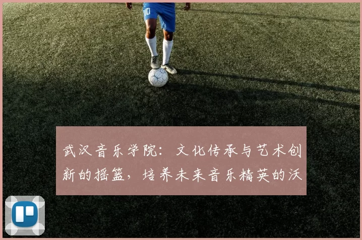 武汉音乐学院：文化传承与艺术创新的摇篮，培养未来音乐精英的沃土
