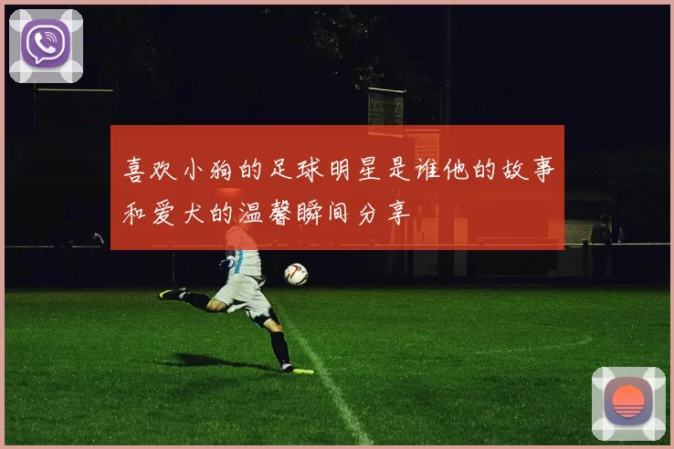 喜欢小狗的足球明星是谁他的故事和爱犬的温馨瞬间分享