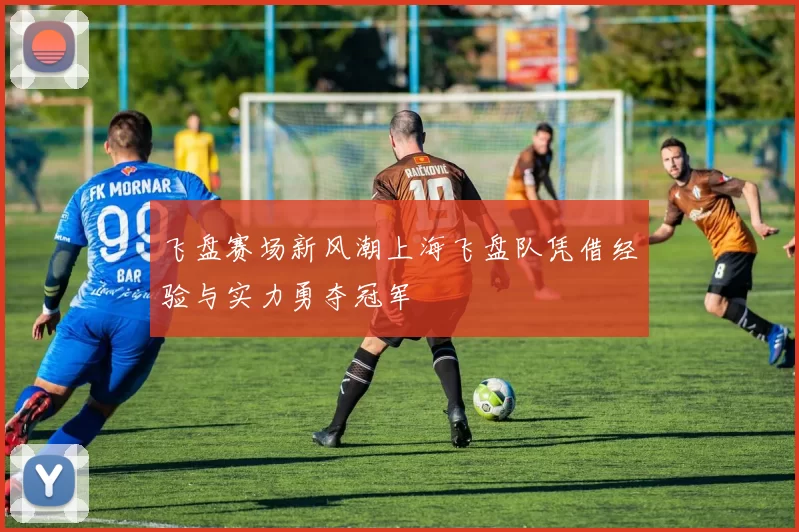 飞盘赛场新风潮上海飞盘队凭借经验与实力勇夺冠军