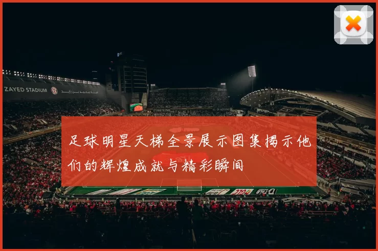 足球明星天梯全景展示图集揭示他们的辉煌成就与精彩瞬间