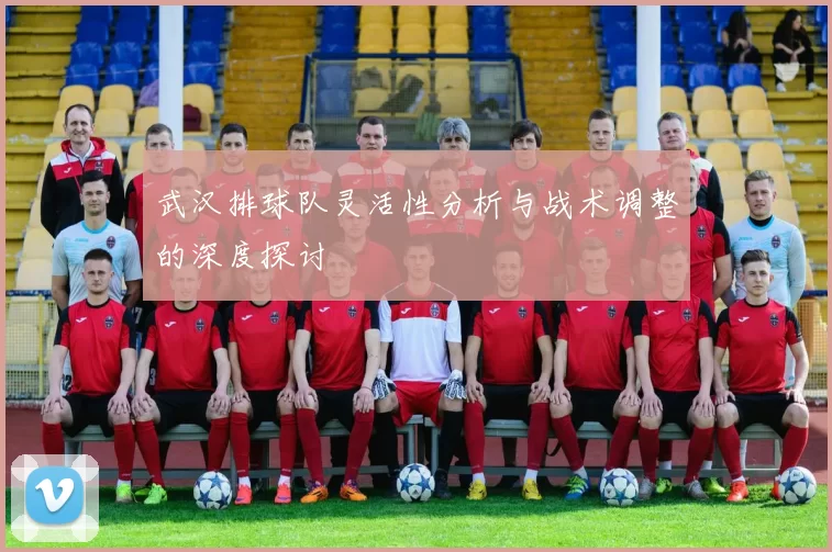 武汉排球队灵活性分析与战术调整的深度探讨