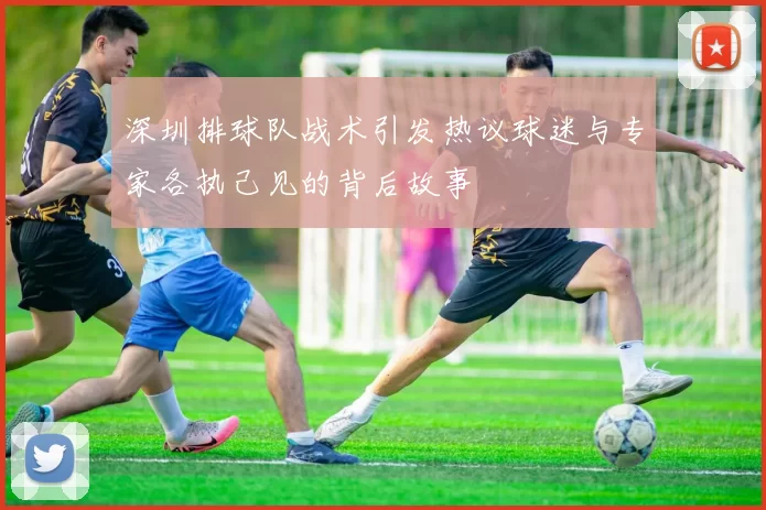 深圳排球队战术引发热议球迷与专家各执己见的背后故事