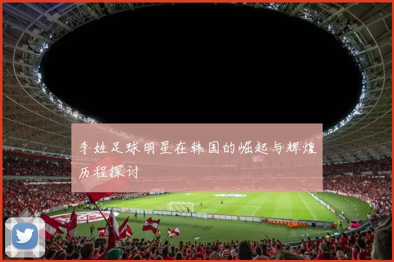 李姓足球明星在韩国的崛起与辉煌历程探讨