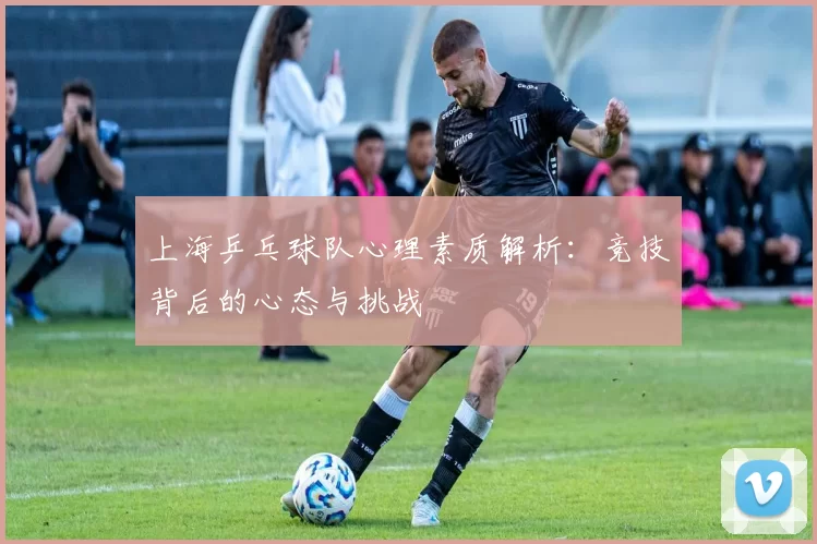 上海乒乓球队心理素质解析：竞技背后的心态与挑战