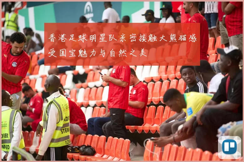 香港足球明星队亲密接触大熊猫感受国宝魅力与自然之美