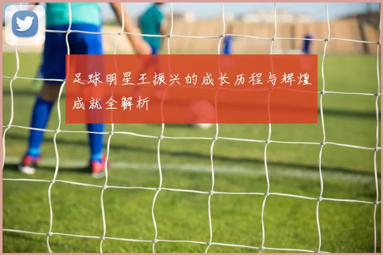 足球明星王振兴的成长历程与辉煌成就全解析