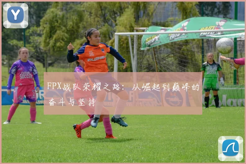 FPX战队荣耀之路：从崛起到巅峰的奋斗与坚持