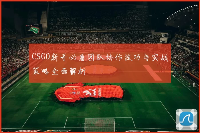 CSGO新手必看团队协作技巧与实战策略全面解析
