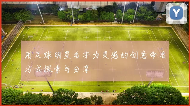 用足球明星名字为灵感的创意命名方式探索与分享