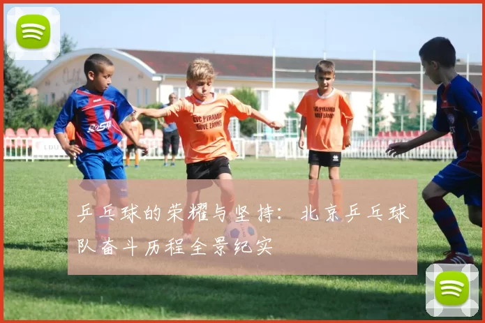乒乓球的荣耀与坚持：北京乒乓球队奋斗历程全景纪实