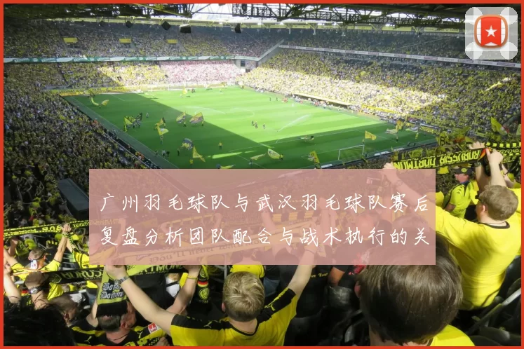 广州羽毛球队与武汉羽毛球队赛后复盘分析团队配合与战术执行的关键因素