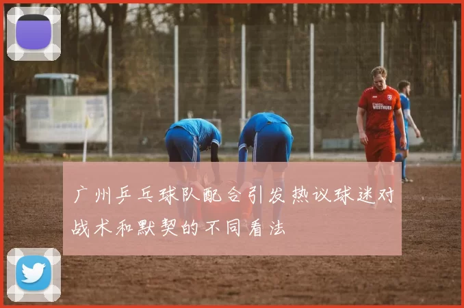 广州乒乓球队配合引发热议球迷对战术和默契的不同看法