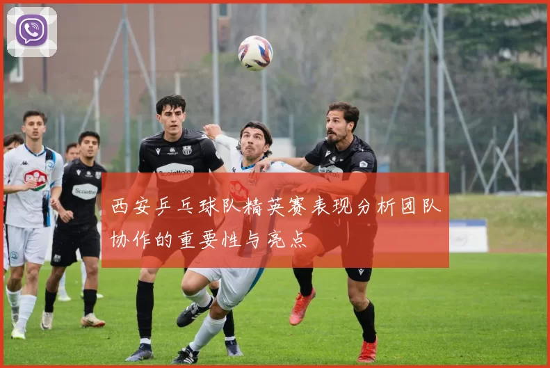 西安乒乓球队精英赛表现分析团队协作的重要性与亮点