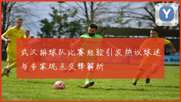 武汉排球队比赛经验引发热议球迷与专家观点交锋解析