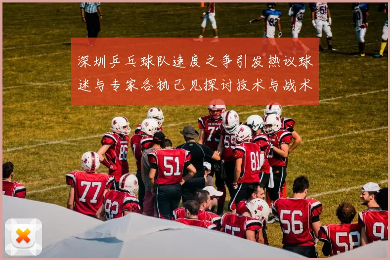 深圳乒乓球队速度之争引发热议球迷与专家各执己见探讨技术与战术
