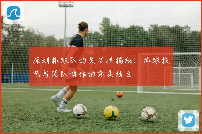 深圳排球队的灵活性揭秘：排球技艺与团队协作的完美结合