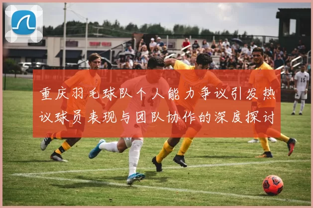 重庆羽毛球队个人能力争议引发热议球员表现与团队协作的深度探讨