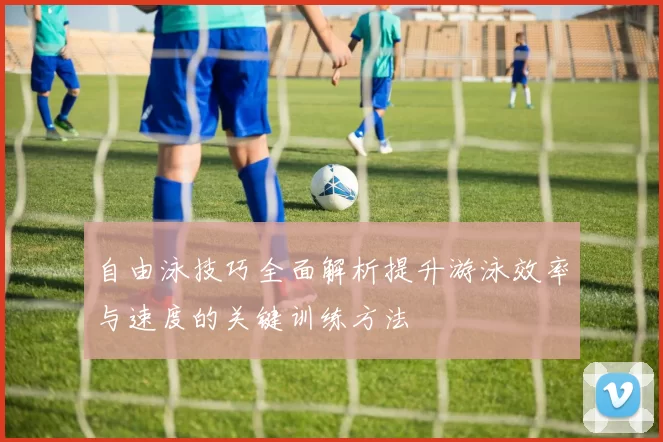 自由泳技巧全面解析提升游泳效率与速度的关键训练方法