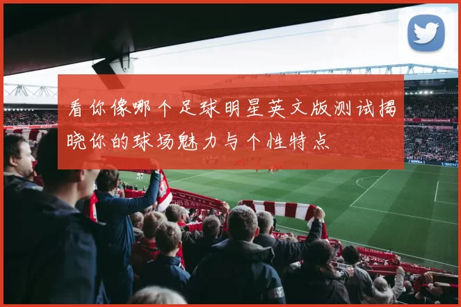 看你像哪个足球明星英文版测试揭晓你的球场魅力与个性特点