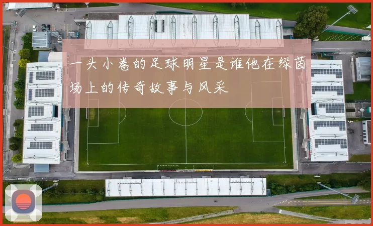 一头小卷的足球明星是谁他在绿茵场上的传奇故事与风采